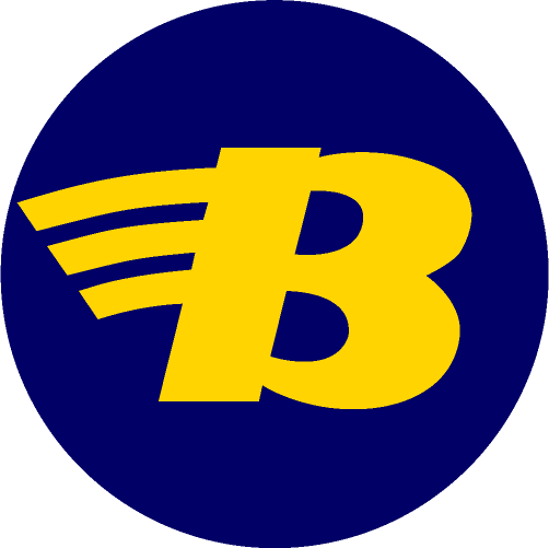 BARUM Logo